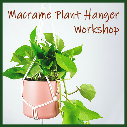 A house plant hanging from a macrame hanger with the words "Macrame Plant Hanger Workshop"