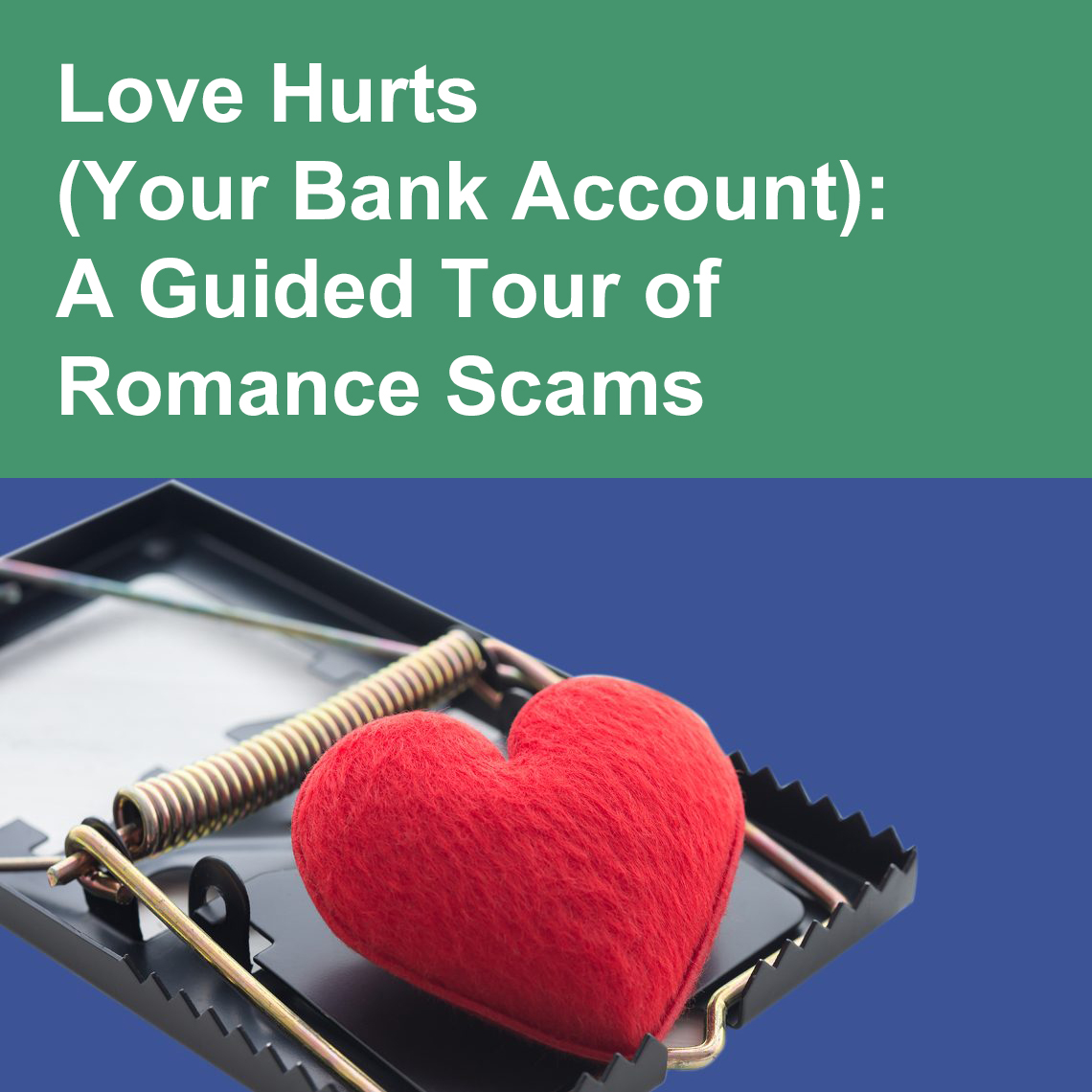 Love Hurts (Your Bank Account): A Guided Tour of Romance Scams
