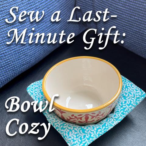 a bowl sitting in a bowl cozy