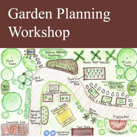 hand-drawn plan of a garden