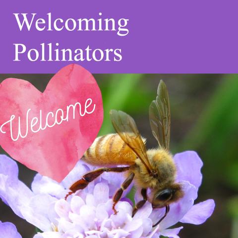 a honeybee pollinating a purple flower and a heart with the word "welcome" written across it