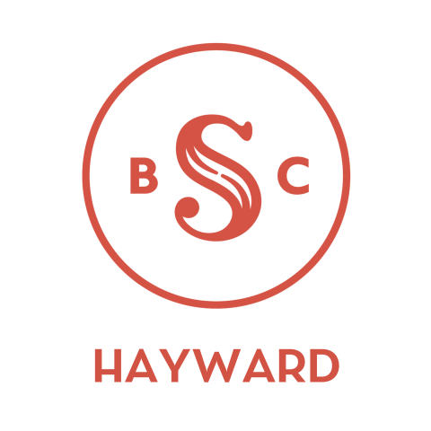 Silent Book Club logo with the word Hayward below