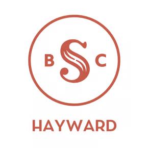 hayward silent book club logo