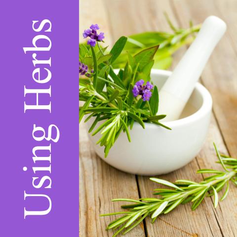 fresh herbs in a white mortar with pestle