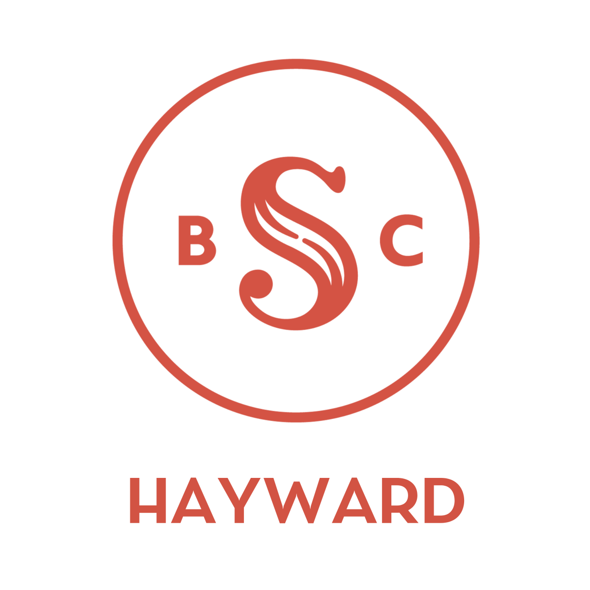 Silent Book Club logo with the word Hayward below